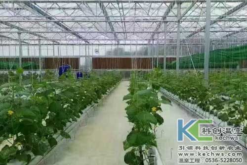 無土栽培，無土栽培技術(shù)，無土栽培設(shè)備