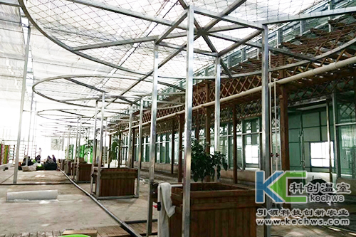 無土栽培,基質栽培,水培