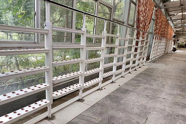 無土栽培，無土栽培技術，無土栽培設備