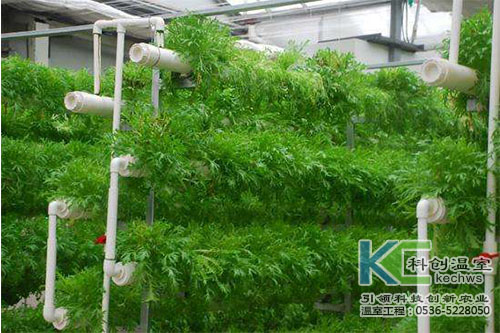 無(wú)土栽培，無(wú)土栽培技術(shù)，無(wú)土栽培設(shè)備