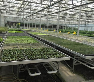 無土栽培，無土栽培技術，無土栽培設備