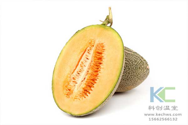 無(wú)土栽培，無(wú)土栽培技術(shù)，無(wú)土栽培設(shè)備