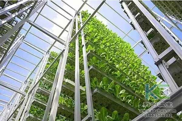 無土栽培，無土栽培技術，無土栽培設備