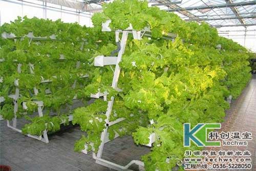 無土栽培，無土栽培技術，無土栽培設備