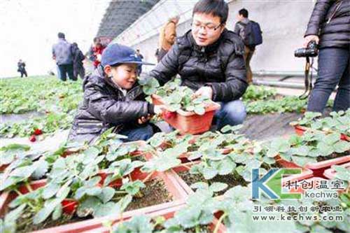 無(wú)土栽培，無(wú)土栽培技術(shù)，無(wú)土栽培設(shè)備