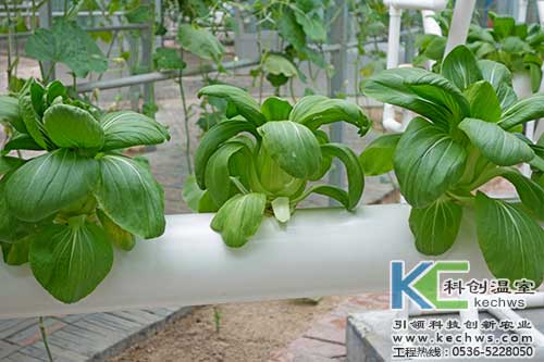 無土栽培，無土栽培技術，無土栽培設備