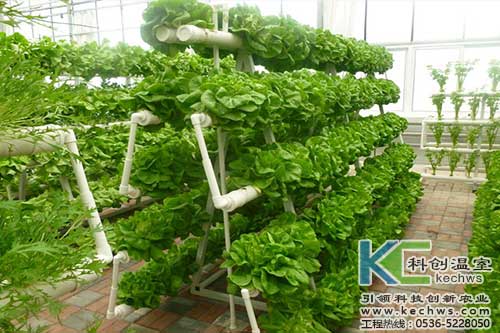 無土栽培，無土栽培技術(shù)，無土栽培設(shè)備