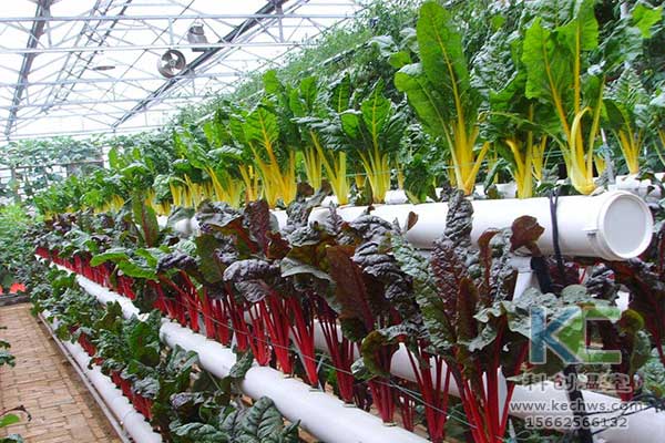 無土栽培，無土栽培技術，無土栽培設備