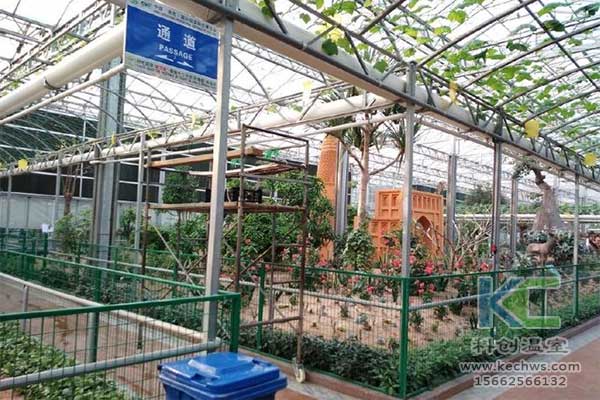 無土栽培，無土栽培技術(shù)，無土栽培設(shè)備