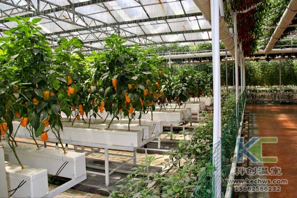 無土栽培，無土栽培技術，無土栽培設備