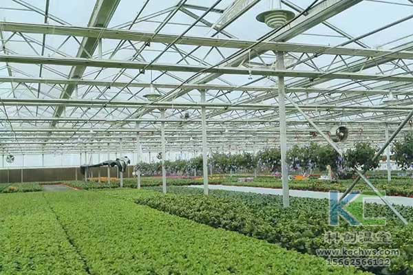 無土栽培，無土栽培技術，無土栽培設備