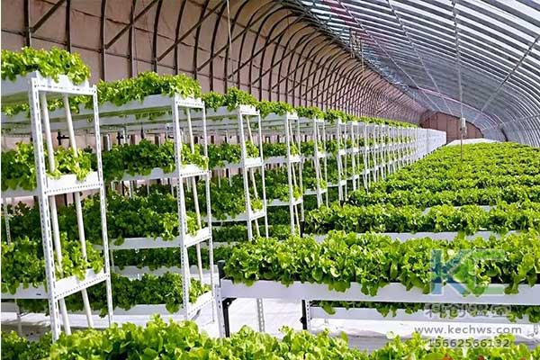 無土栽培，無土栽培技術，無土栽培設備