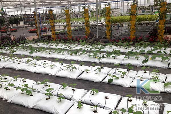 無土栽培，無土栽培技術，無土栽培設備