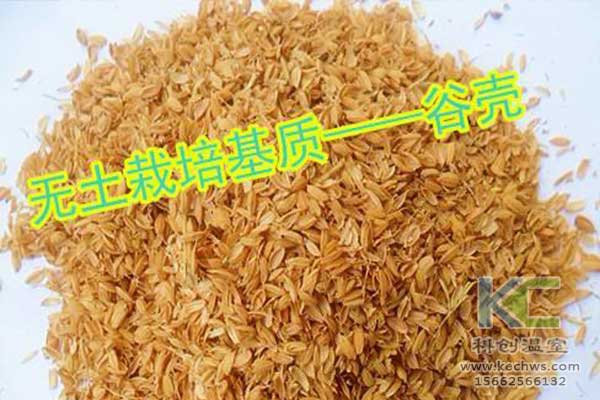 無土栽培，無土栽培技術，無土栽培設備