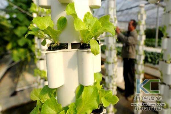 無土栽培，無土栽培技術，無土栽培設備