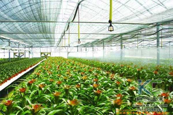 無土栽培，無土栽培技術，無土栽培設備