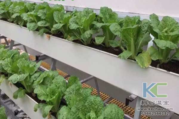 無土栽培，無土栽培技術，無土栽培設備
