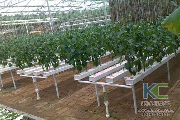 無土栽培，無土栽培技術(shù)，無土栽培設(shè)備