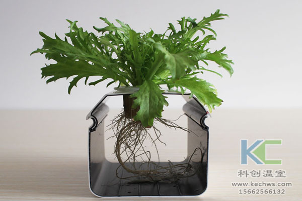 無土栽培，無土栽培技術，無土栽培設備