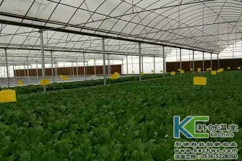 無土栽培，無土栽培技術，無土栽培設備