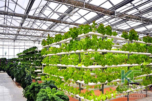 無土栽培，無土栽培技術，無土栽培設備