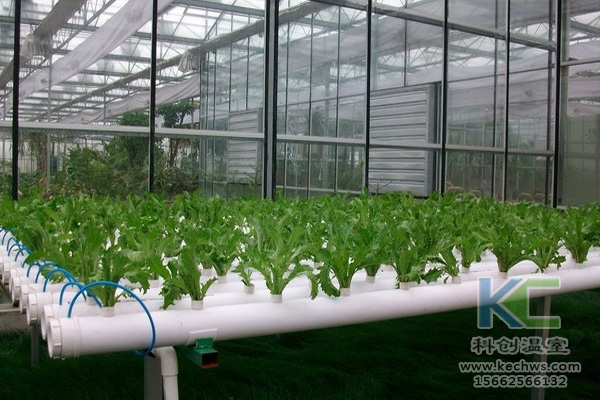 無(wú)土栽培技術(shù)，無(wú)土栽培設(shè)備，無(wú)土栽培，溫室大棚