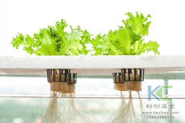 無土栽培設備，無土栽培技術，無土栽培，溫室大棚