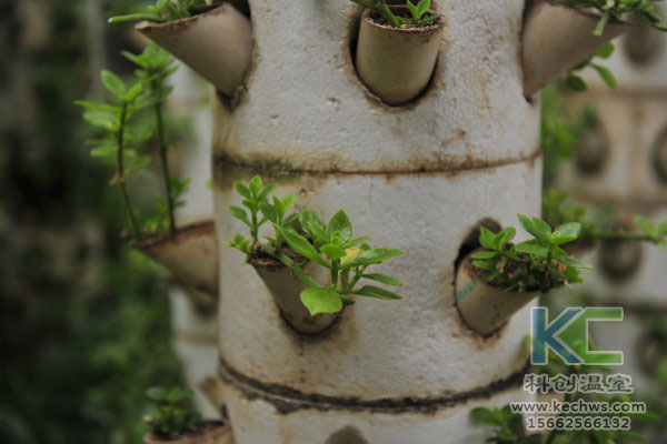 無土栽培，無土栽培技術，無土栽培設備