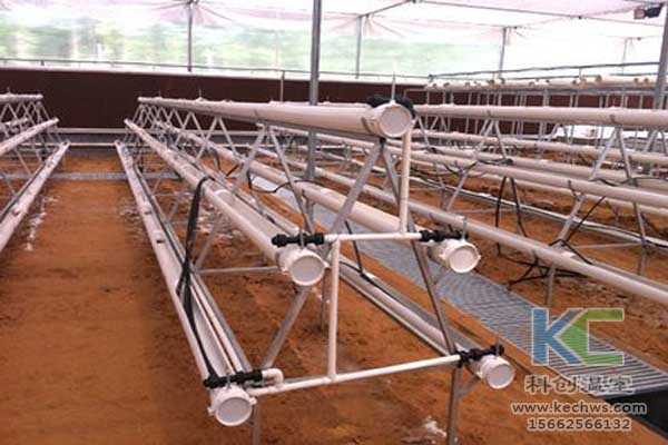 無土栽培技術，無土栽培設備，魚菜共生，溫室大棚