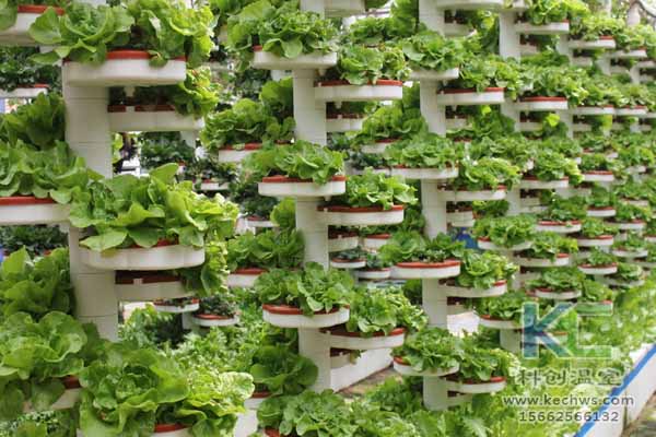 無土栽培技術(shù)，無土栽培設(shè)備，無土栽培，溫室大棚