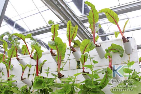 無土栽培，無土栽培技術，無土栽培設備