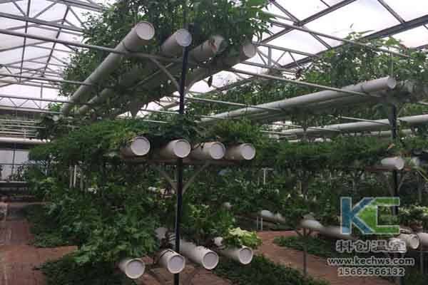 無(wú)土栽培技術(shù)，無(wú)土栽培設(shè)備，溫室大棚，蔬菜大棚