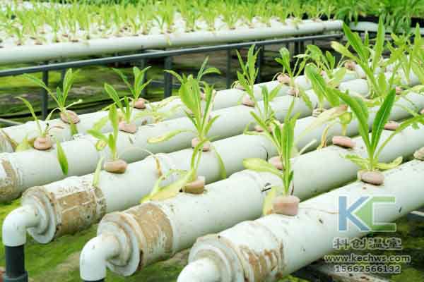 無(wú)土栽培技術(shù)，無(wú)土栽培設(shè)備，溫室大棚，蔬菜大棚