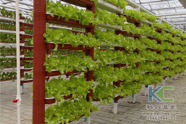 無(wú)土栽培技術(shù)，無(wú)土栽培設(shè)備，無(wú)土栽培，溫室大棚