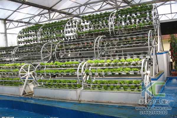 無土栽培技術，溫室大棚造價，蔬菜大棚，無土栽培