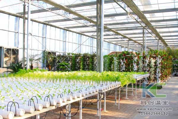 無土栽培，無土栽培技術，無土栽培設備