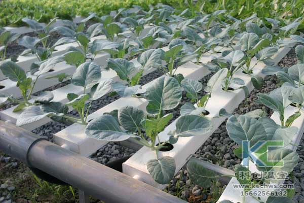 無(wú)土栽培技術(shù)，無(wú)土栽培設(shè)備，無(wú)土栽培，溫室大棚