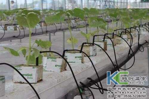 無土栽培，無土栽培技術，無土栽培設備