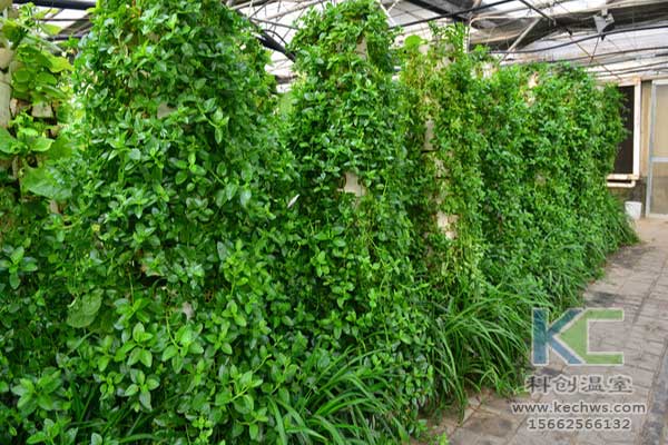 無土栽培，無土栽培技術，無土栽培設備