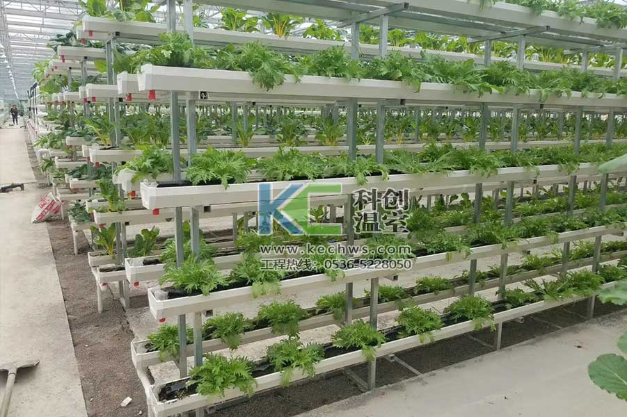 無(wú)土栽培，無(wú)土栽培技術(shù)，無(wú)土栽培設(shè)備