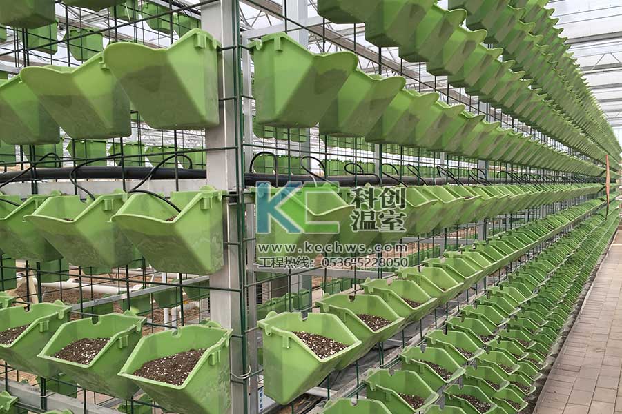 無(wú)土栽培，無(wú)土栽培技術(shù)，無(wú)土栽培設(shè)備