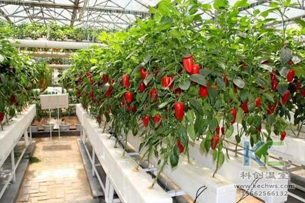 無土栽培，無土栽培技術，無土栽培設備