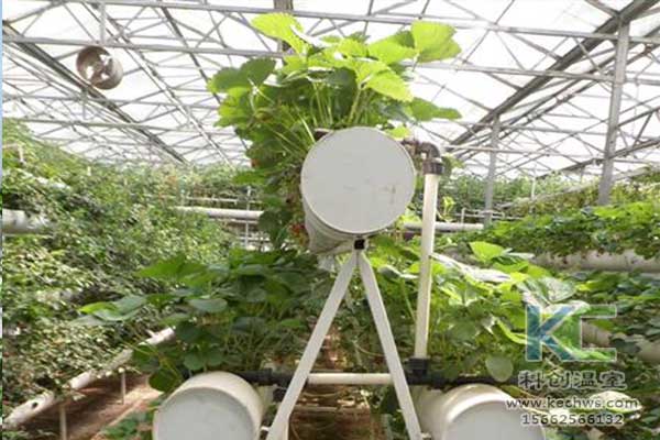 無土栽培，無土栽培技術(shù)，無土栽培設備