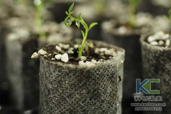 無土栽培，無土栽培技術，無土栽培設備