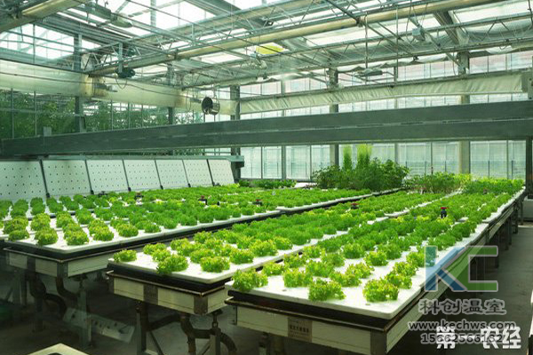 無土栽培，無土栽培技術(shù)，無土栽培設(shè)備