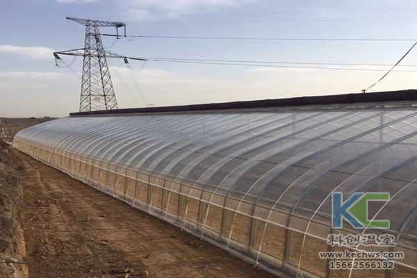 無土栽培，無土栽培技術，無土栽培設備