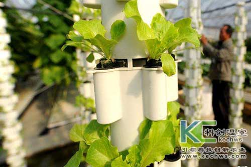 無土栽培，無土栽培技術，無土栽培設備