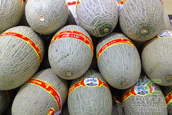 無土栽培，無土栽培技術，無土栽培設備