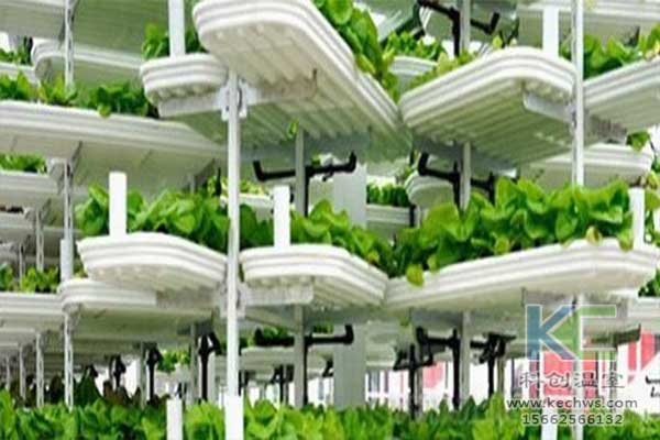 無土栽培，無土栽培技術，無土栽培設備