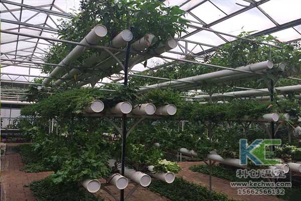無(wú)土栽培，無(wú)土栽培技術(shù)，無(wú)土栽培設(shè)備